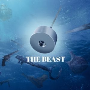 The Beast vismagneet
