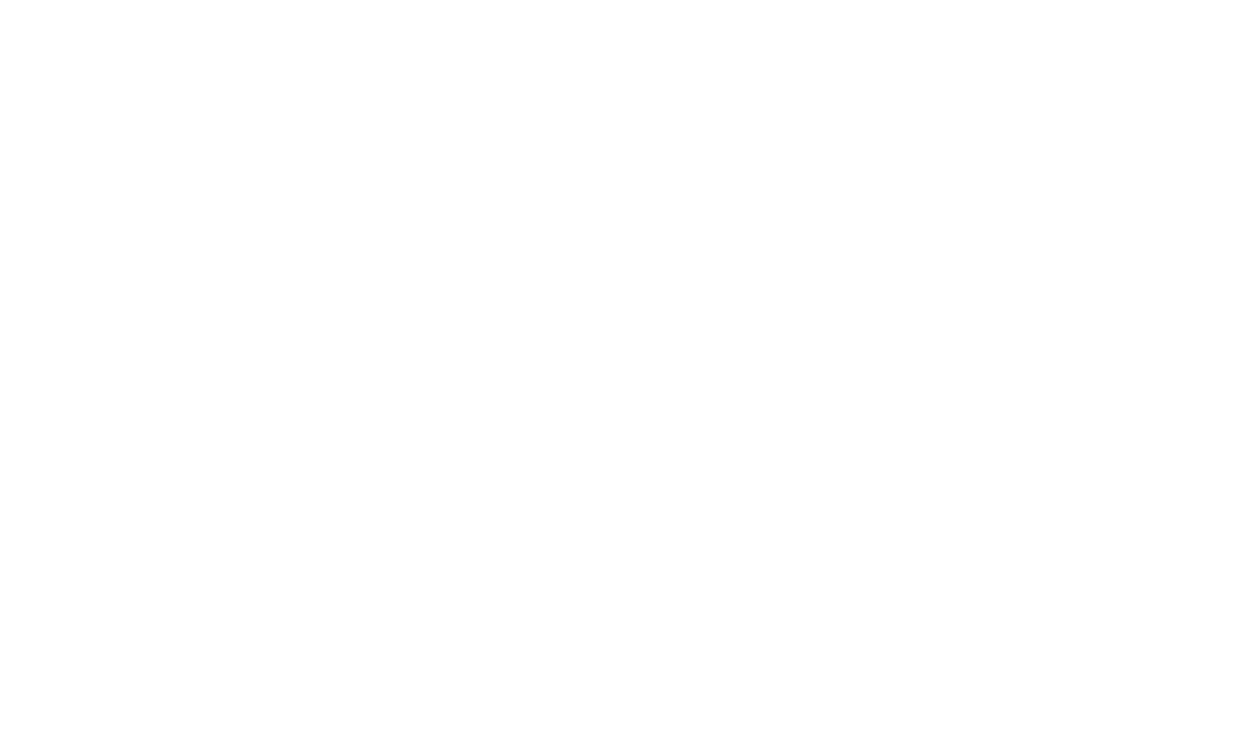 Magnetar Vismagneet Logo