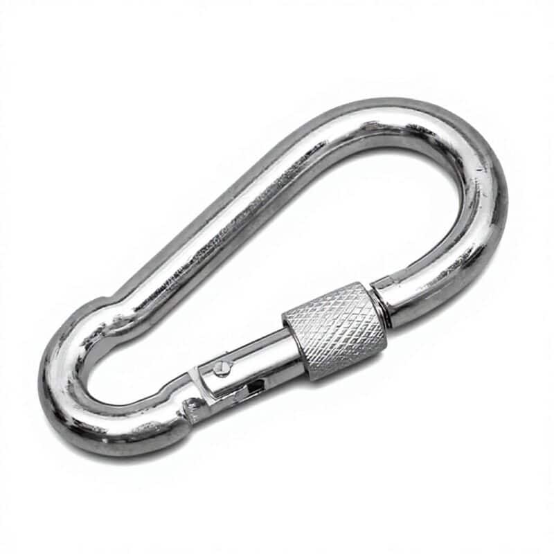 carabiner 1